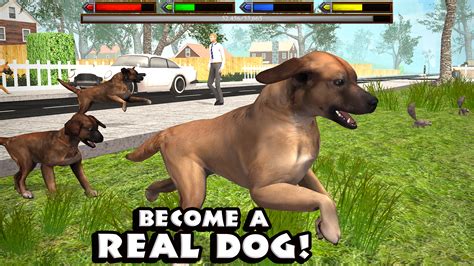 dog games